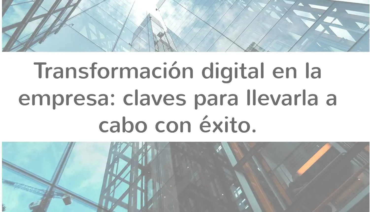 Transformación digital en la empresa: claves para llevarla a cabo con éxito