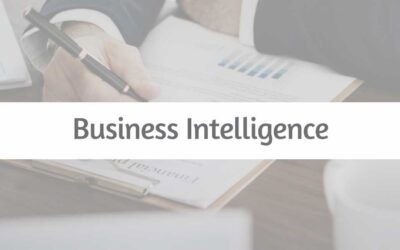 Business Intelligence (BI)