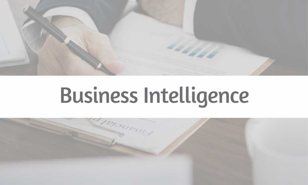 Business Intelligence Business Intelligence