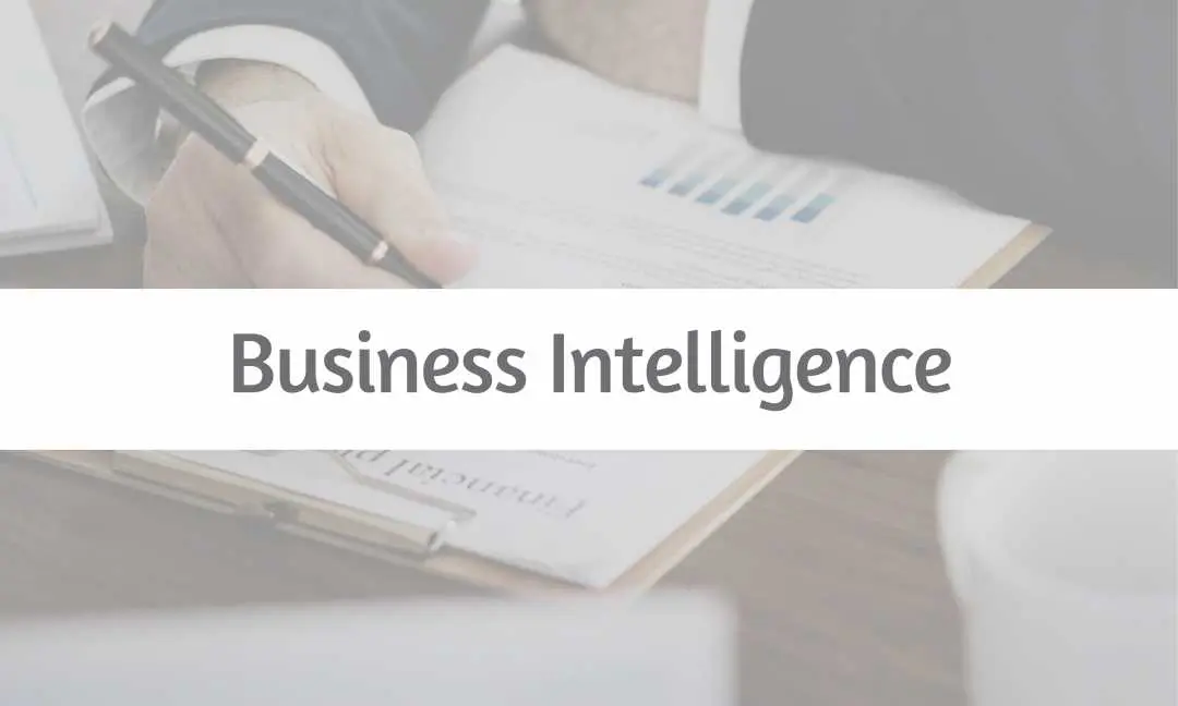 Business Intelligence